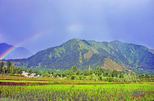 1467703251_2stand 3.jpg